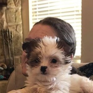 Meet your Posher, Pat